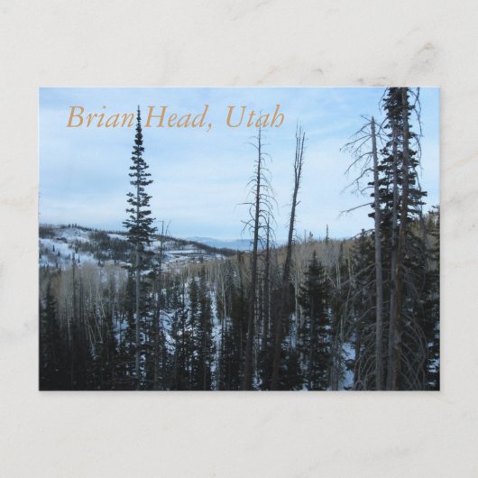 Brian Head, Utah Briefkaart (Voorkant)