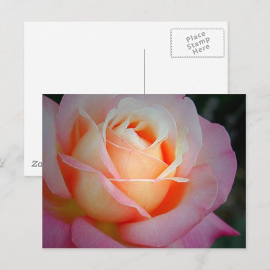 Brianna Briefkaart (Voorkant / Achterkant)