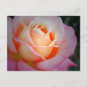 Brianna Briefkaart (Voorkant)