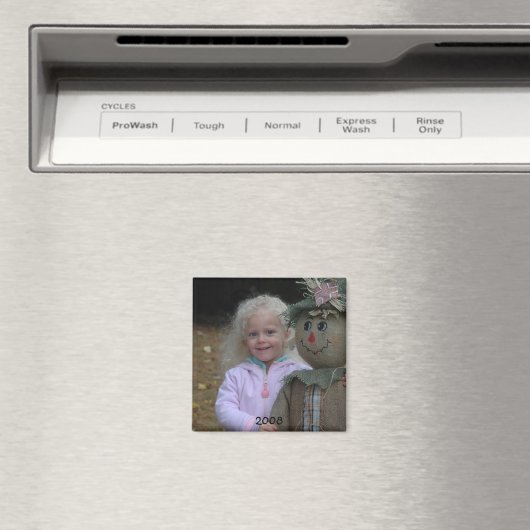 Brianna Magnet (Insitu (Vaatwasser))