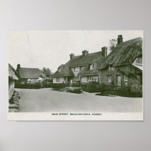 Briantspuddle, Dorset  briefkaart print