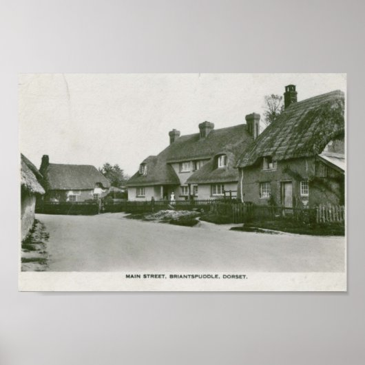 Briantspuddle, Dorset briefkaart print (Voorkant)