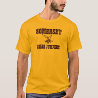 Briar Jumpers Retro 1 T-shirt