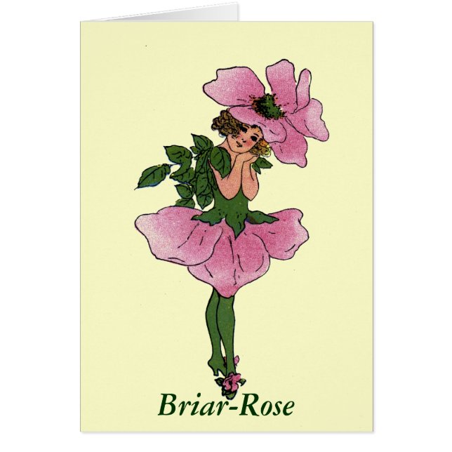 Briar-Roos (Voorkant)