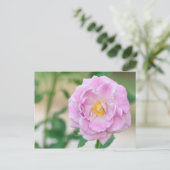Briar Roos Briefkaart (Staand voorkant)