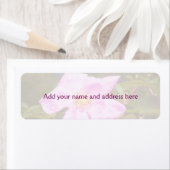 Briar Roos Etiket (Insitu)