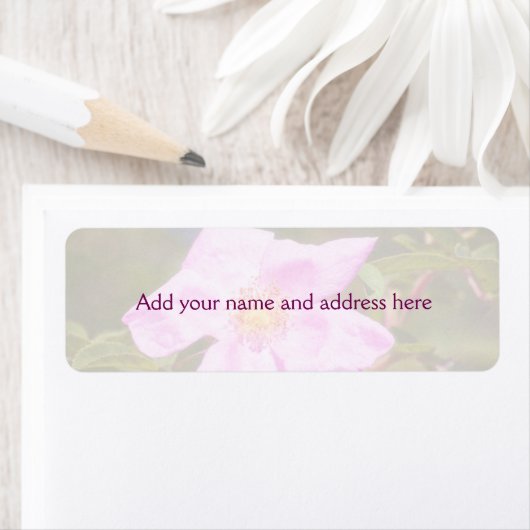 Briar Roos Etiket (Insitu)