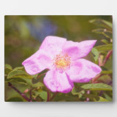 Briar Roos Fotoplaat (Voorkant)