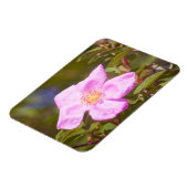 Briar Roos Magneet (Linkerzijde)