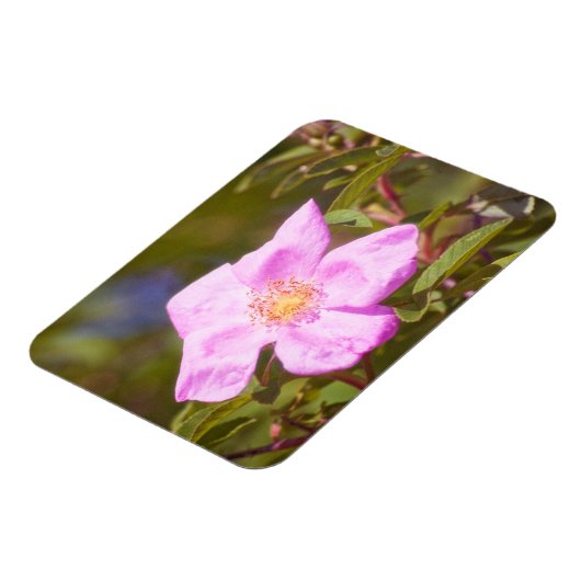 Briar Roos Magneet (Linkerzijde)