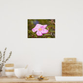 Briar Roos Poster (Keuken)