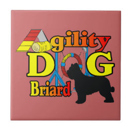 Briard Agility Tegeltje
