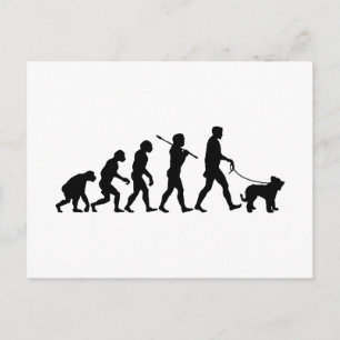 Briard Briefkaart