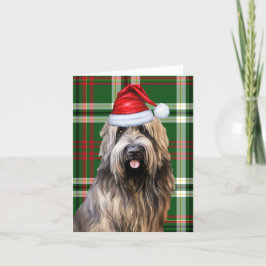Briard Christmas Dog Green Plaid Kerstmis Feestdagen Kaart