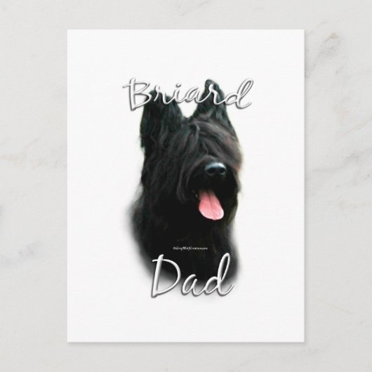 Briard Dad 2 Briefkaart (Voorkant)