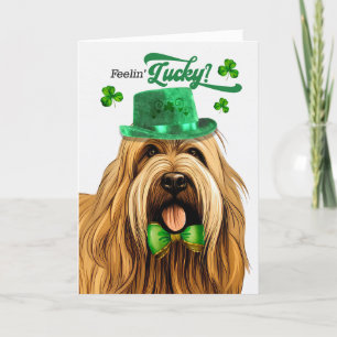 Briard Dog Feelin' Lucky St Patrick's Day Feestdagen Kaart