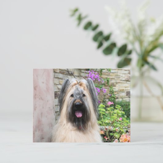 Briard Dog in een Tiara "Queen Bee" Briefkaart (Staand voorkant)