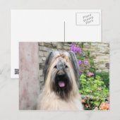 Briard Dog in een Tiara "Queen Bee" Briefkaart (Voorkant / Achterkant)