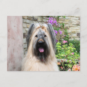 Briard Dog in een Tiara "Queen Bee" Briefkaart