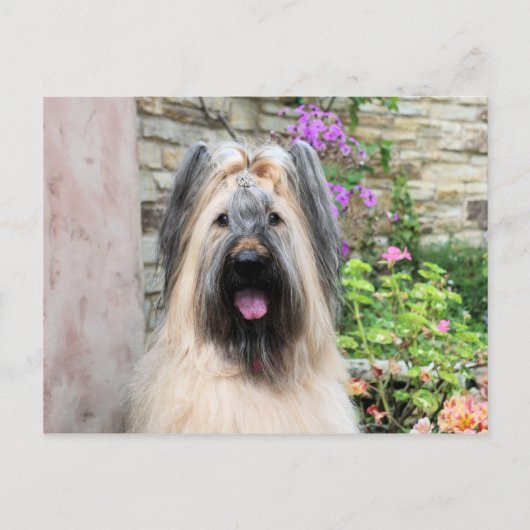 Briard Dog in een Tiara "Queen Bee" Briefkaart (Voorkant)