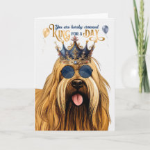 Briard Dog King voor een Dag Funny Birthday