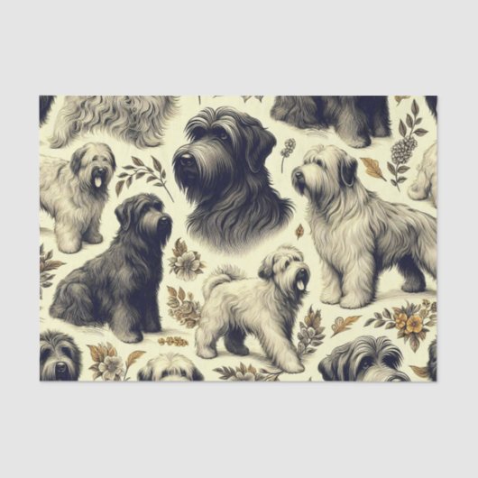  Briard Dog Naadloos Tissuepapier (Voorkant)