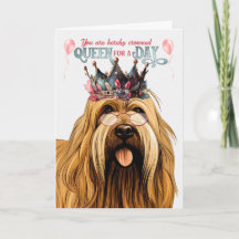 Briard Dog Queen voor een Dag Funny Birthday