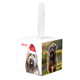 Briard Dog Twee Foto Vakantie Decoratie