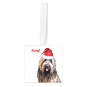 Briard Dog Twee Foto Vakantie Decoratie (Voorkant)
