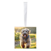 Briard Dog Twee Foto Vakantie Decoratie (Rechts)