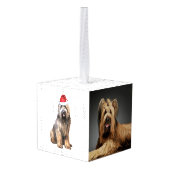 Briard Dog Twee Foto Vakantie Decoratie (Achter hoekig)