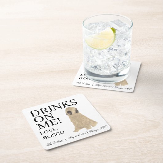 Briard Dog Wedding Kartonnen Onderzetters (Insitu)