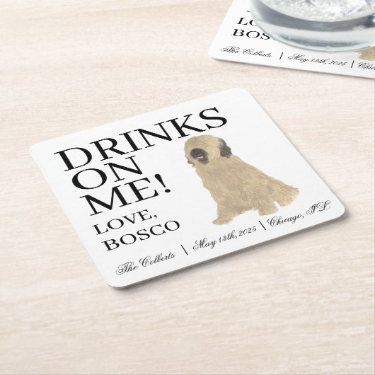 Briard Dog Wedding Kartonnen Onderzetters (Schuin)