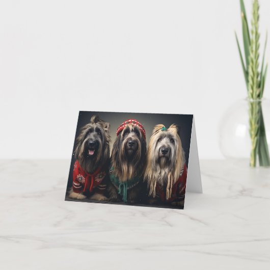 Briard Dogs Kerst Kaart (Voorkant)