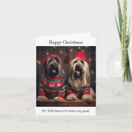 Briard Dogs Kerst Kaart