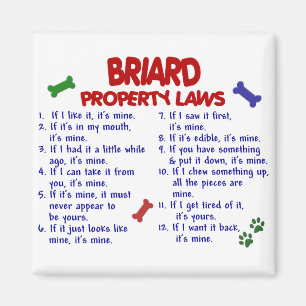 BRIARD Eigendomsrecht 2 Magneet