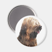 Briard fauve 3 magneet (Voorkant / Achterkant)