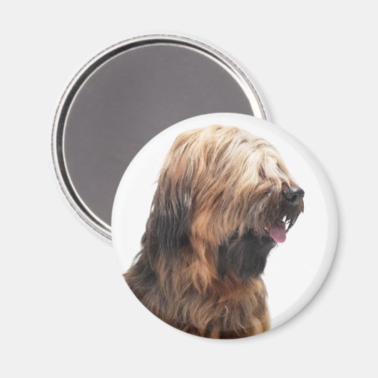 Briard fauve 3 magneet (Voorkant / Achterkant)