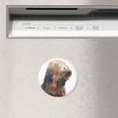 Briard fauve 3 magneet (Insitu (Vaatwasser))