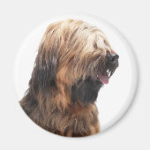 Briard fauve 3 magneet (Voorkant)