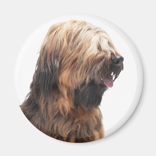 Briard fauve 3 magneet (Voorkant)