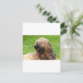 Briard fauve briefkaart (Staand voorkant)