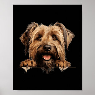 Briard-hond Moeder Vader gluurt Puppy Poster