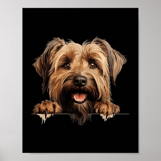 Briard-hond Moeder Vader gluurt Puppy Poster (Voorkant)