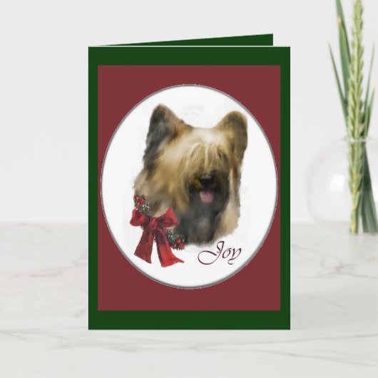 Briard kerstcadeaus feestdagen kaart (Voorkant)