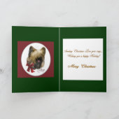 Briard kerstcadeaus feestdagen kaart (Binnen)