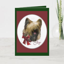 Briard kerstcadeaus feestdagen kaart