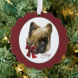 Briard kerstcadeaus ornament kaart