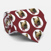 Briard kerstcadeaus stropdas (Opgerold)