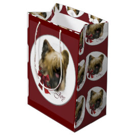 Briard Kerstmis Medium Cadeauzakje